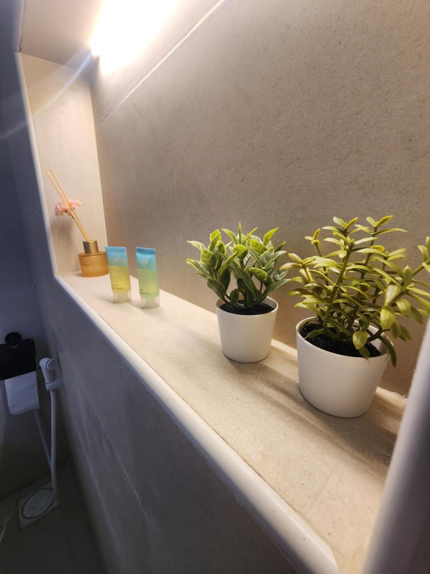 Отель Bubbles Domes Private Cmp Al Wasil Номер фото